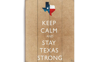The Central Texas Flood Tragedy of 2025 (The Aftermath and How You Can Help) by David Franklin